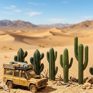 1/64 Cactus 6 Pcs set - 164model