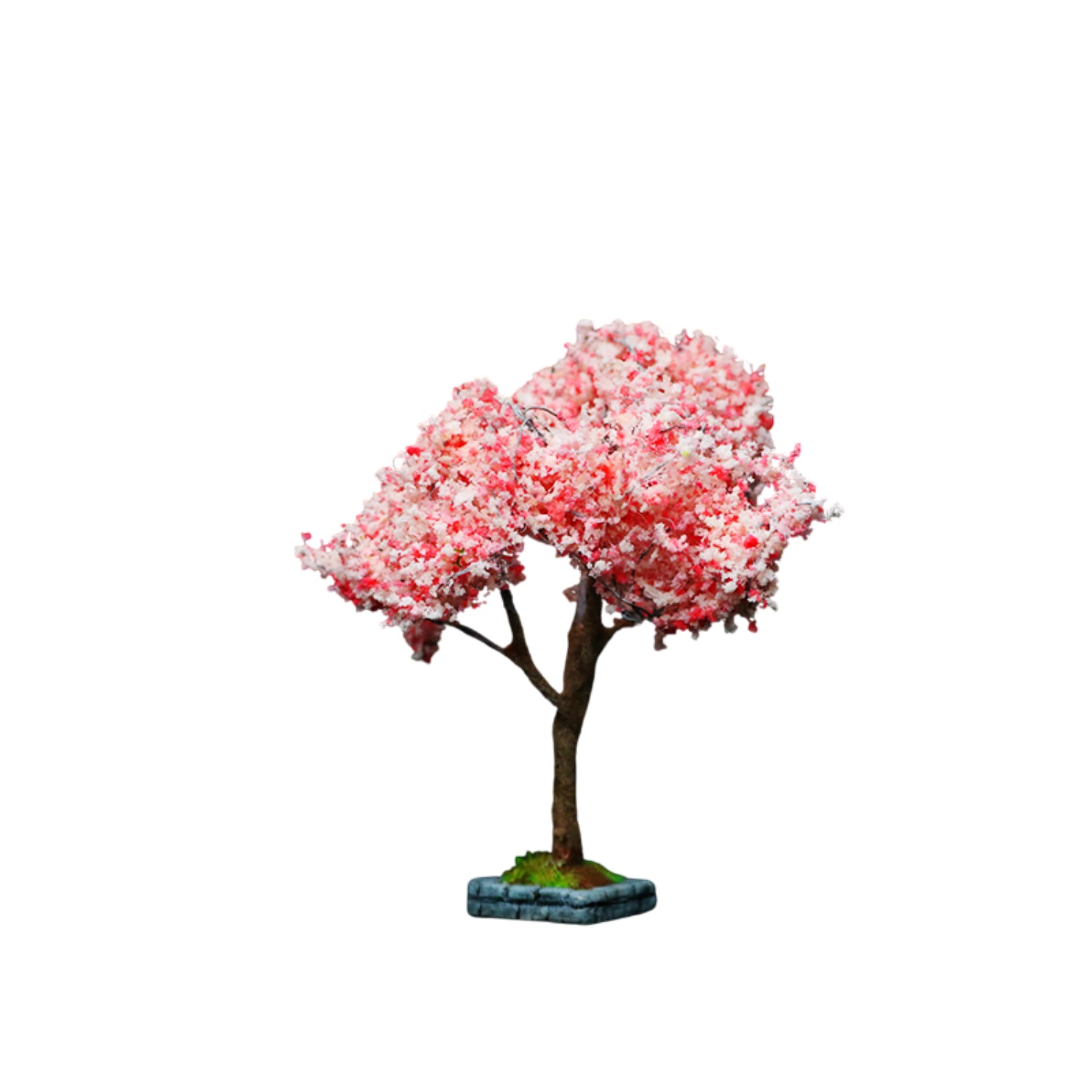1/64 Trees